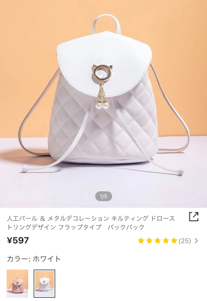 SHEINで買ったこのバック紐の付け方が分かりません…とりあえず付けて