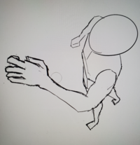 この構図はおかしいでしょうか 鷹を手に乗せる構図です おか Yahoo 知恵袋