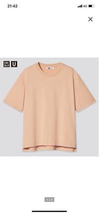 女性なんですが スーツの下に 画像のような普通のtシャツを着たら Yahoo 知恵袋