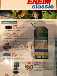 皆さんは外部式フィルターの掃除はどれぐらいの周期でどれぐらい洗っていますか Yahoo 知恵袋