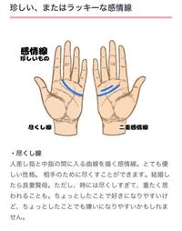 手相のことでお聞きしたいのですが両手に尽くし線があるのって珍しい Yahoo 知恵袋