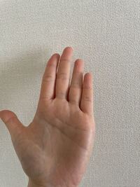 変形ますかけ線という手相が左手にあるかもと思い 投稿しました Yahoo 知恵袋