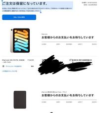 JCBカードのカードでiPad miniを購入したのですが、ご注文は保留になっています。 お支払い方法に問題が見つかったため、ご注文の請求はまだ行われていません。ご利用のカードの裏面に記載されている電話番号に連絡するか、別の支払い方法をお試しください。と書いてあるのですが、どうすればいいでしょうか？ 
カテゴリ違ったらすみません