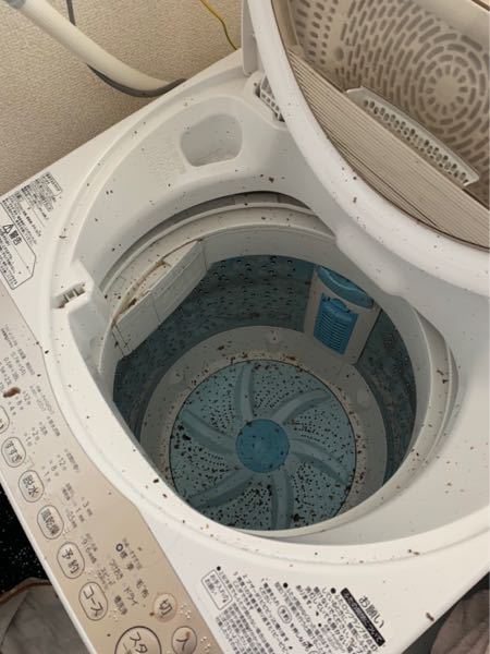 結構前に時々洗濯機から茶色いゴミのようなものが出たので、中の蓋とかも外して掃除したのですが、今日に添付画像の量が出てきました、掃除不足でしょうか？それとも買い替えなどしたほがいのでしょうか？