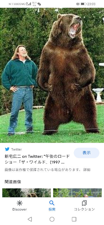 全盛期のヒョードルとか世界最強の格闘家ならコディアックヒグマを素 Yahoo 知恵袋