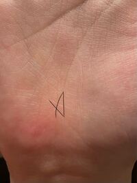 生命線に三角 のようなものがあるのですがなんでしょうか たまたま三角 Yahoo 知恵袋