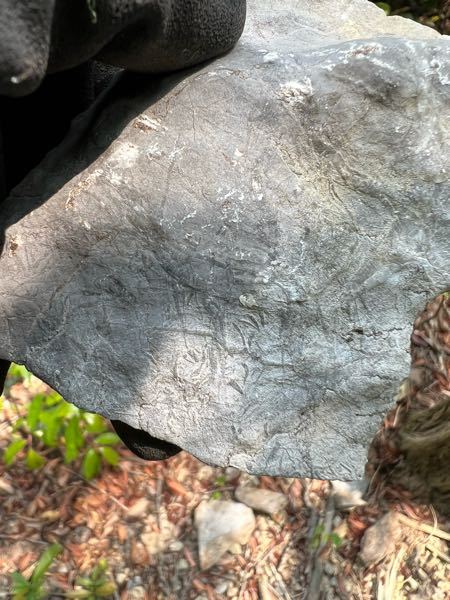 石灰岩を割っていたら三日月の模様みたいな物が出てきました。(写真の下部分) これは化石ですか？詳しい方ご教授お願いします。