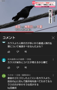カラスが東京都から減ってるという話は本当なんですかね それにしてもなぜニュ Yahoo 知恵袋
