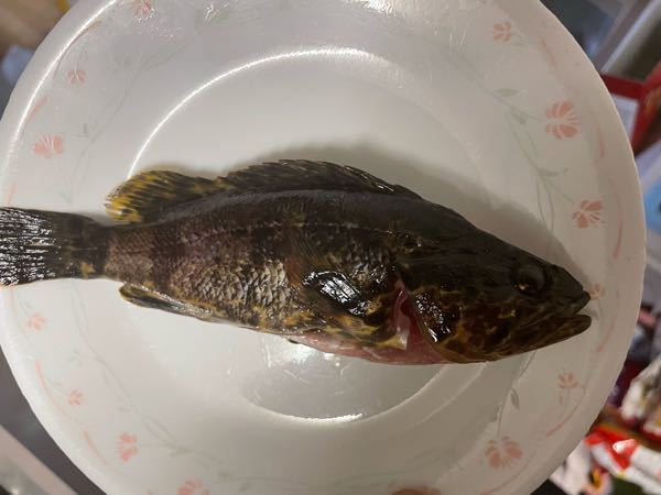 この魚をもらったのですが、何ていう魚ですか？ また、どのように料理したらいいですか？