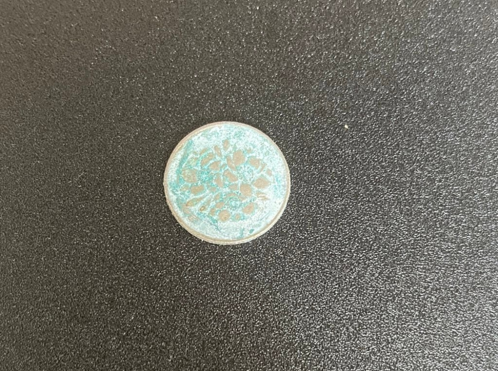 棚の裏からゾンビ化した100円玉を 発見しました。 どなたか蘇らせる方法を知りませんか？