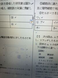 Wordで、数字を入れると雷見たいなマークが出るのですが邪魔です。 自分が入れた数字を出鱈目にしてしまいます。
対処方法を教えて下さい。