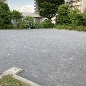 ハートゴールドサファリで ヨーギラスを狙っているけれど 捕まえれません Yahoo 知恵袋