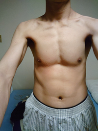 毎日アブローラー50回やっているのですが どうすれば筋肉つきます Yahoo 知恵袋