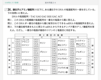 高校生物基礎塩基配列 問2の答えがaugcuccugccccuguga Yahoo 知恵袋