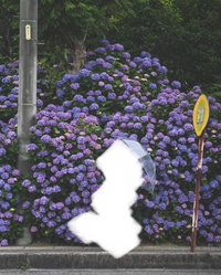 愛知県豊田市にある紫陽花の壁を探しています なんでもない道端にあ Yahoo 知恵袋