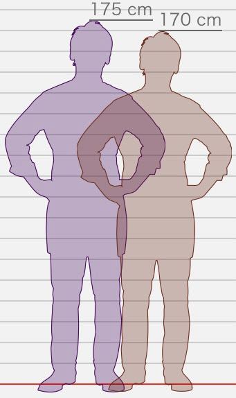 背が普通の男性と背が低い男性どっちが好み？