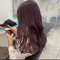 暗め紫のヘアカラーをしたいです 今までブリーチ無しで染めていました Yahoo 知恵袋