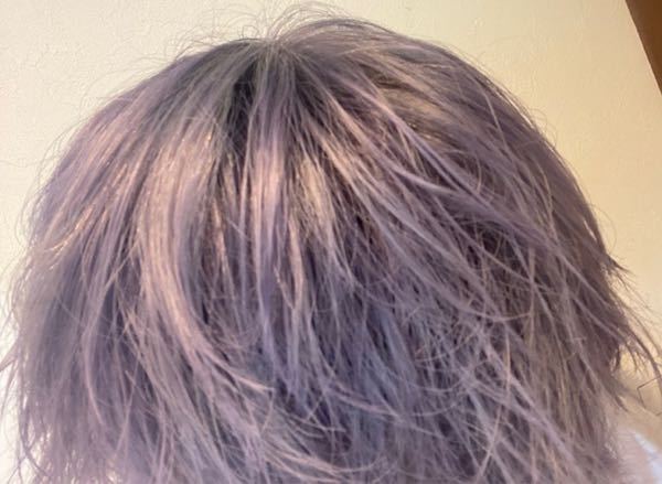 ヘアケアについての質問（コイン250枚） この髪色なら紫かシルバーどっちのシャンプー使えばいいですか