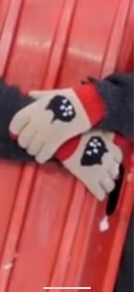 キヨ。さんが着けていたこの手袋はどこに売っていますか？