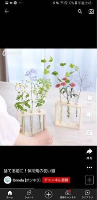 Web広告で出てきたものなのですが 全部何の花かわかりますか かすみ Yahoo 知恵袋