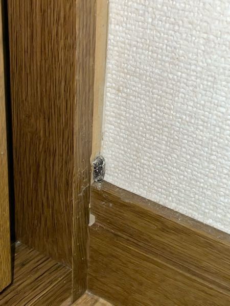 クローゼットの隅に虫？みたいなのが付いています。 誰か分かりますか？ 今日引っ越してきた家のクローゼットの床を拭いていたら 角で蜘蛛の巣に引っかかる感じがあって、よく見たら何か黒い物体が張り付...