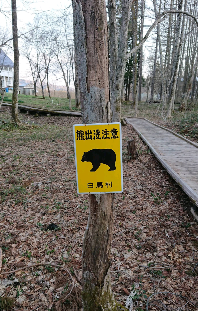 画像の標識があるところでは、熊鈴を鳴らしていくことが求められますか？
