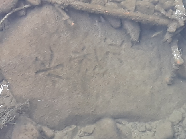 この前釣りに行ったら水中に謎の石がありました。 その時の川の状態は水位がかなり下がってました。 この石があった場所は橋桁の真下あたりで結構藻が付いてました。 自分なりに何となくで漢字を読むと、 水、迷、女、侖、です。 侖の字は写真では見えないです。それにもしかしたら漢字が違うかもです。 情報が少ないですがもし何か分かるかたが居ればお教えください