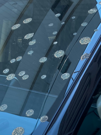 こんなに鳥フンがつくことがありますか まんべんなくついてました Yahoo 知恵袋