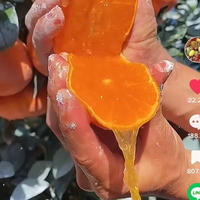 どこかの国の動画なんですけどオレンジが滝のように果汁が流れる動画あるんですけどこんなに果汁たっぷりのオレンジあるんですか？日本にもありますかね？ 