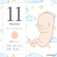 至急お願いします Ninaruのアプリで赤ちゃんの大きさ Yahoo 知恵袋