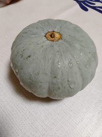 皮が白いかぼちゃ 今日スーパーで 皮が白いかぼちゃを購入しま Yahoo 知恵袋