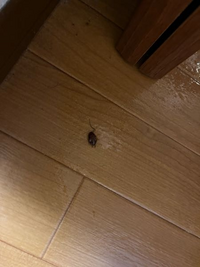 Cookとmakeの違いって何でしたっけ 料理の話ですよね Make Yahoo 知恵袋