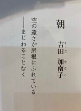朝吉田加南子と言う詩があるんですが、この詩の種類を教えてください
