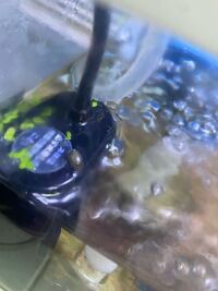 水草残留農薬に付いてホームセンター コーナン とかで買った水草は水草残留農 Yahoo 知恵袋