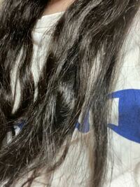 昨日エクステつけてカラーをブルーブラックで染めました 今お風呂入って髪 Yahoo 知恵袋