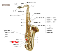 吹奏楽部で副部長になった 部長になれなかった私 すっっっっっごい Yahoo 知恵袋