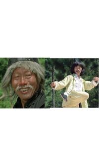 映画ドランク モンキー酔拳より 酔拳の達人 蘇化子 とラスボス 鉄心 Yahoo 知恵袋