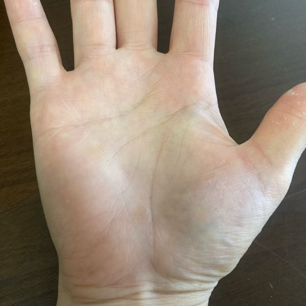 美墨易数占断様、お時間ございましたら鑑定していただきたいです