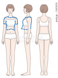 女性の方至急 服について質問です イラストあり お願いします Yahoo 知恵袋