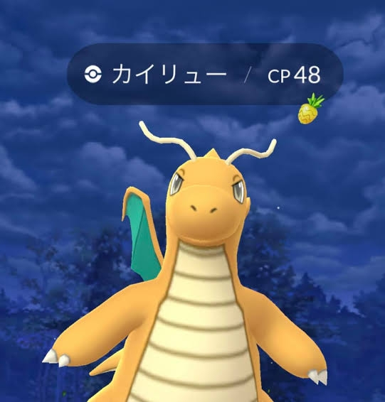 結局カイリューって伝説なんですか 一般ポケモンですか 番号がファイヤーの次 Yahoo 知恵袋