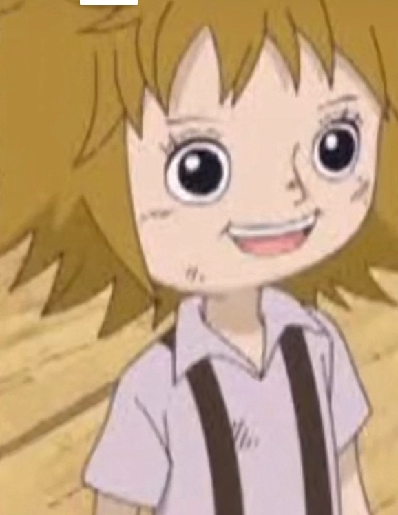 ワンピースでこの子がコアラだと分かるシーンって何処でしょうか Yahoo 知恵袋