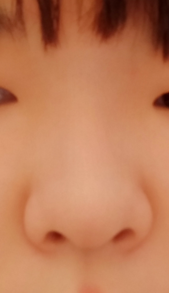 至急 ノーズシャドウについて私は 写真のようにあまり鼻が高くなくだんご鼻 Yahoo 知恵袋