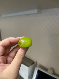 緊急 犬がマスカットを食べてしまいました 1歳1ヶ月のミニチュアダック Yahoo 知恵袋