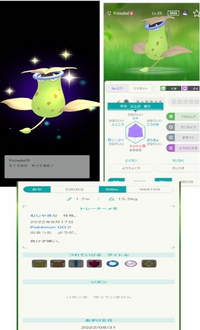 ポケモンhomeにてgtsでのポケモン交換で色違いのウツボット送 Yahoo 知恵袋