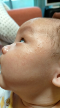 ワンピースのドグラと花カッパのがりぞーの声が一緒 同じですよ 山 Yahoo 知恵袋