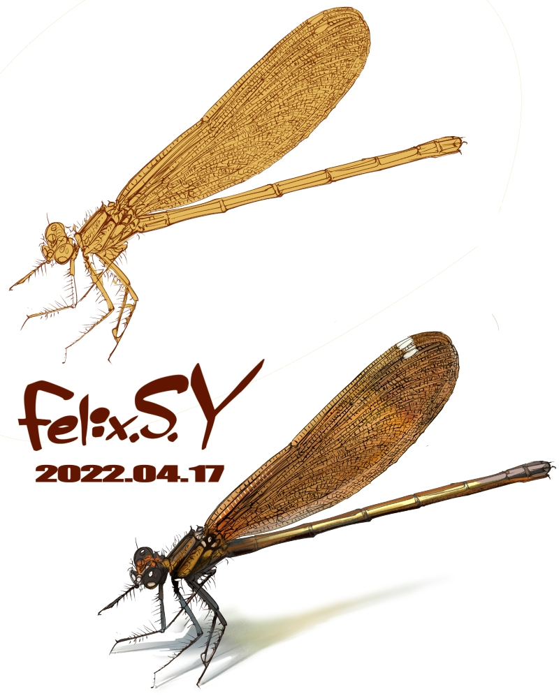 私はオカヤドカリを３匹買っているのですが 最近 みんな土の中 Yahoo 知恵袋