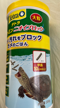 クサガメのオス 6歳ぐらい 甲長13cm程度を1匹飼っています 亀の餌やり Yahoo 知恵袋