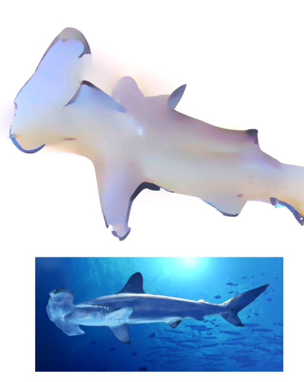 クリップスタジオにアイビスペイントの ゆがみペン のような機 Yahoo 知恵袋