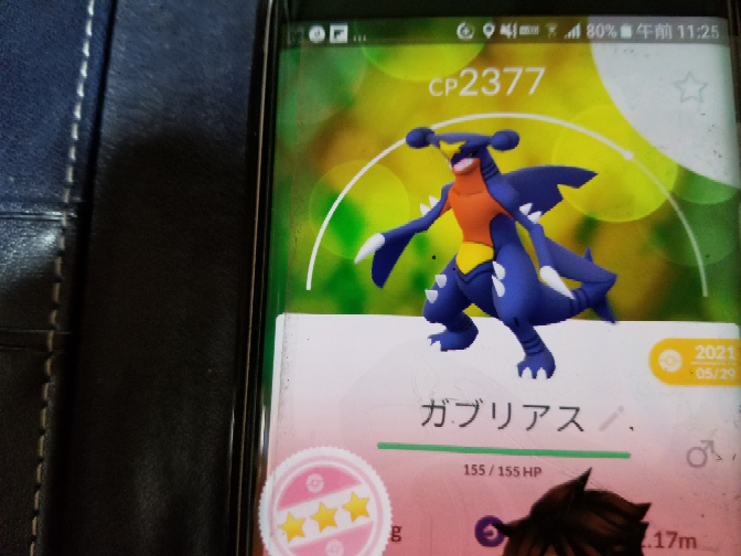 ポケモンgoについて評価お願いします野生のフカマルは終わりましたがこのガブ Yahoo 知恵袋