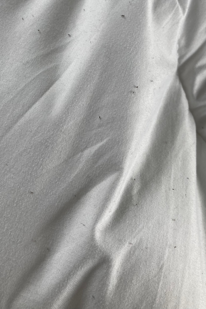 コインランドリーで掛け布団を洗った後取り出したら謎のぶつぶつが大 Yahoo 知恵袋